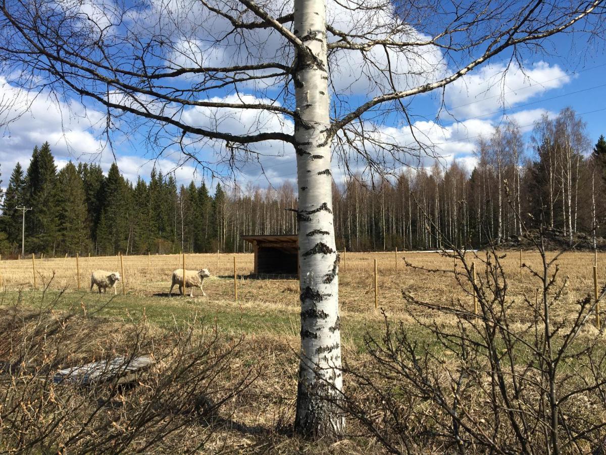 Kivirannan Tupa Villa Ylivieska Kültér fotó
